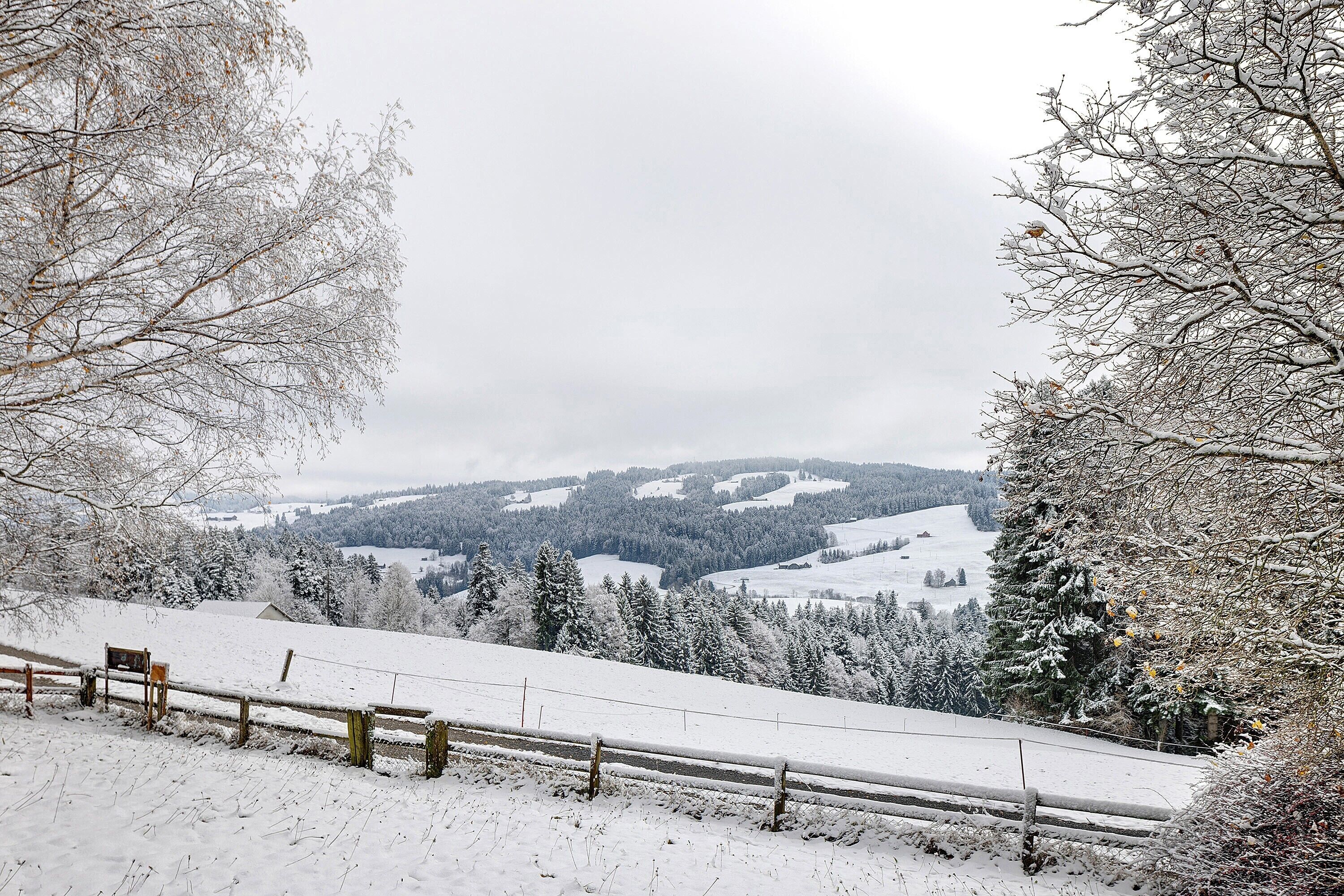 Een besneeuwd landschap met een houten hek en bomen.