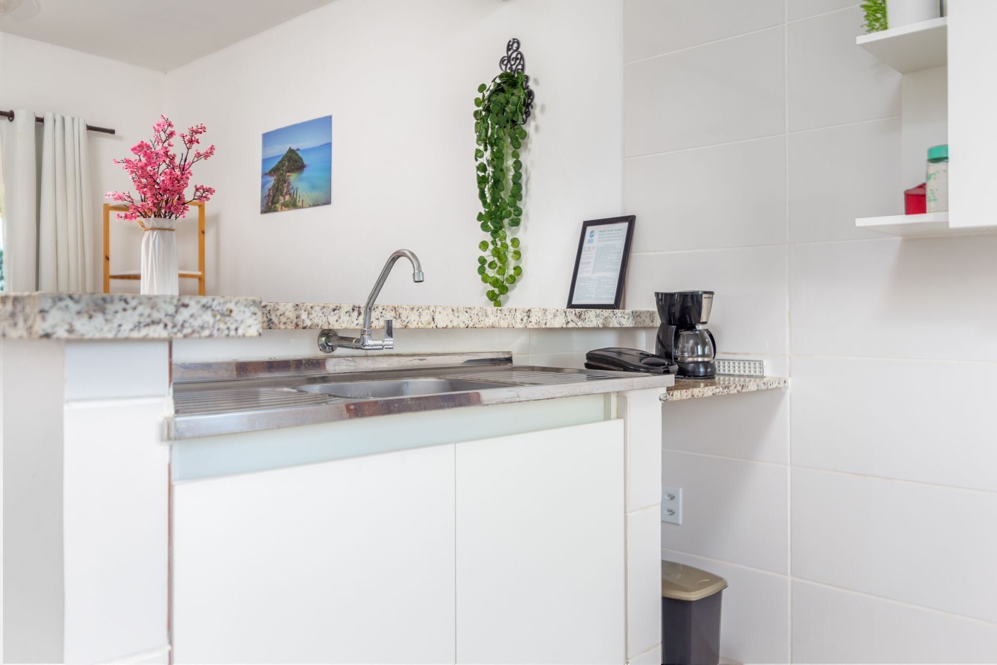 A modern kitchen with a granite countertop, stainless steel sink, and a hanging green plant.