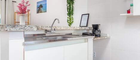 A modern kitchen with a granite countertop, stainless steel sink, and a hanging green plant.