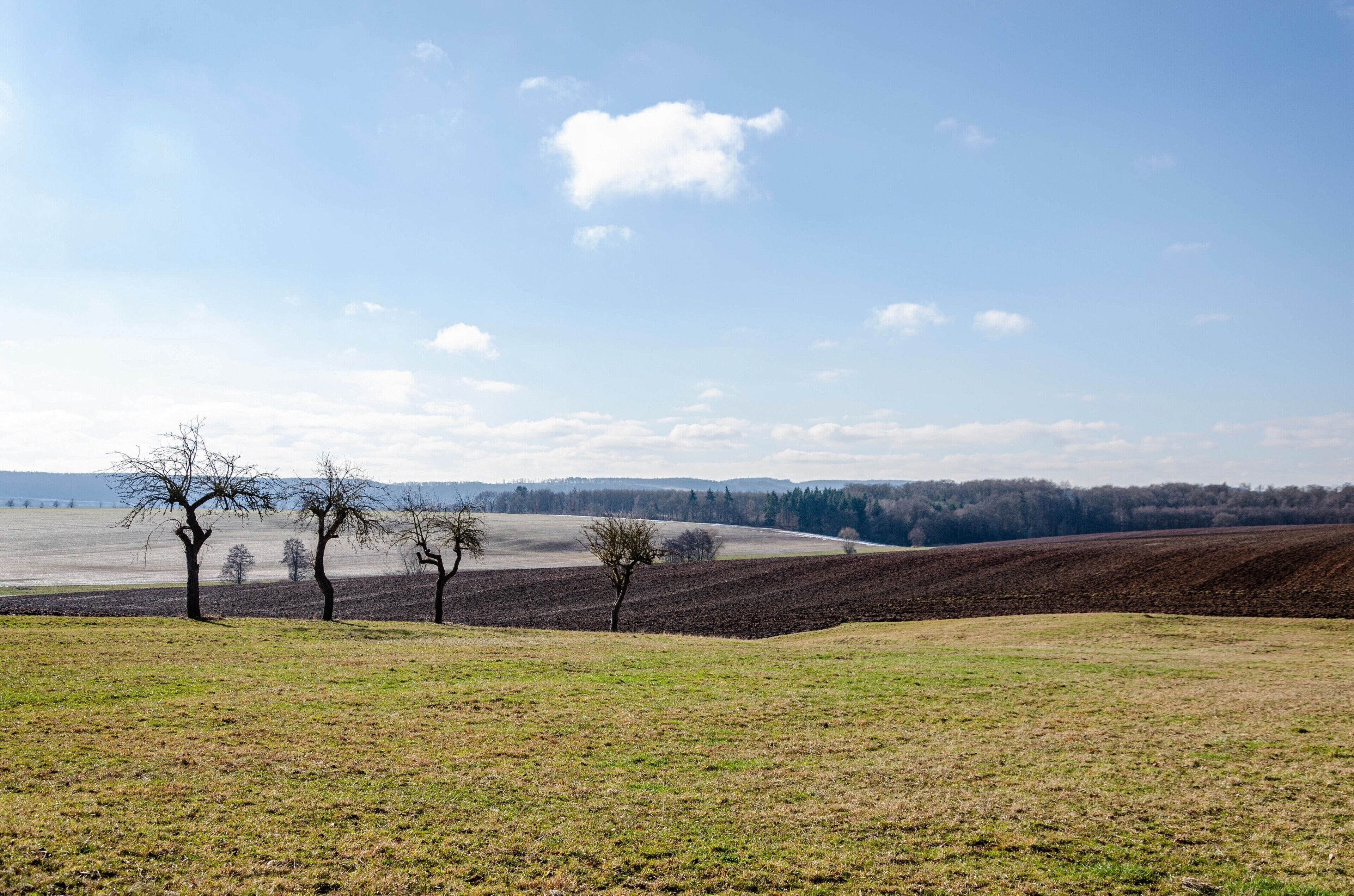 Un paysage rural caractérisé par de vastes champs ouverts, quelques arbres sans feuilles et une ligne d’arbres à l’horizon, le tout sous un ciel dégagé.