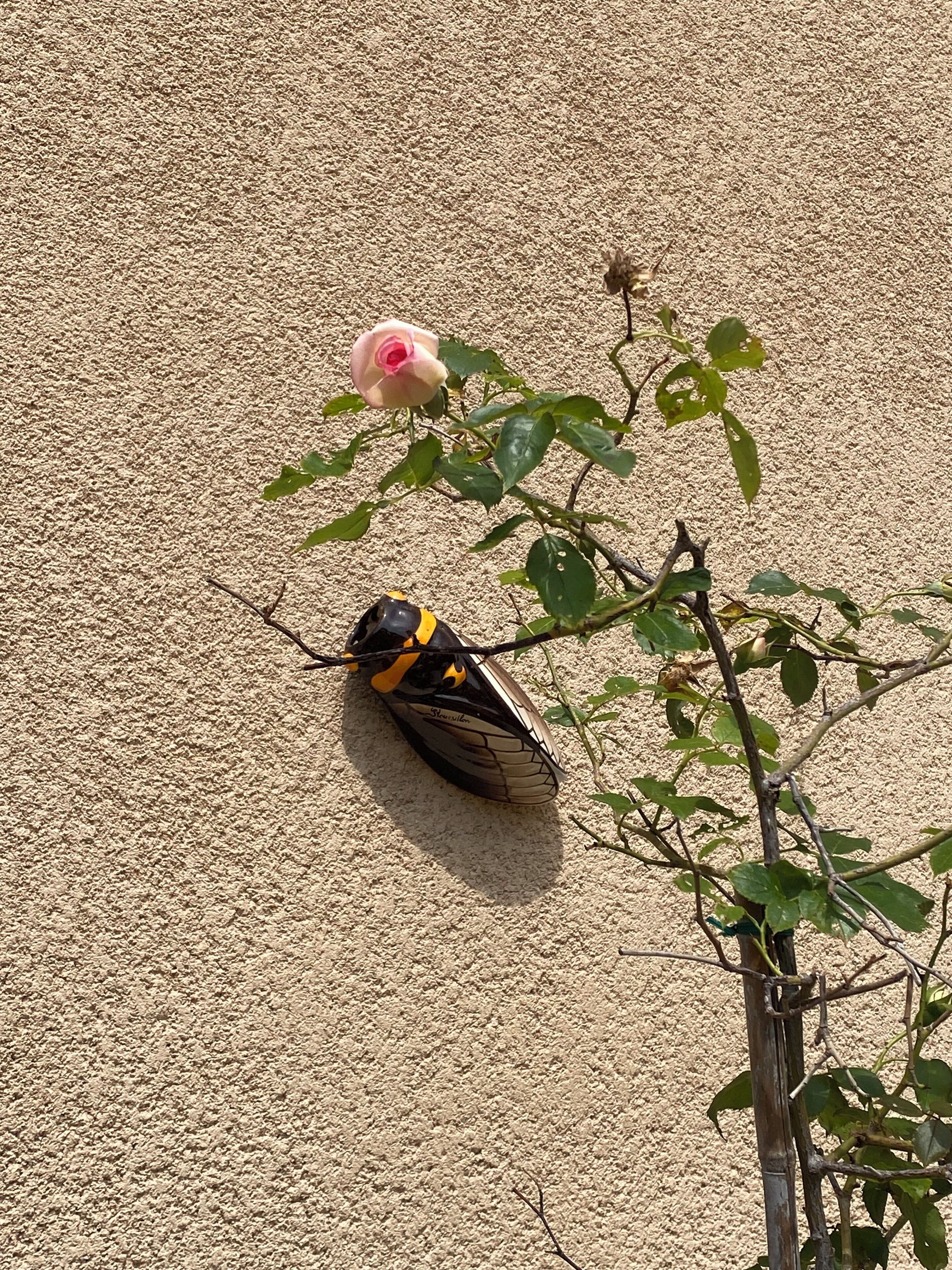 Een vlinder rustend op een tak, met een roze bloem in de buurt.