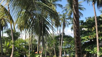 Jardines del alojamiento