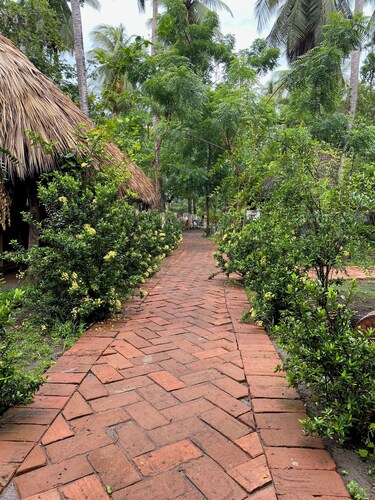 Casa Nuuk in Bokané: ecotourism center among mangroves, estuary and sea in Chiapas