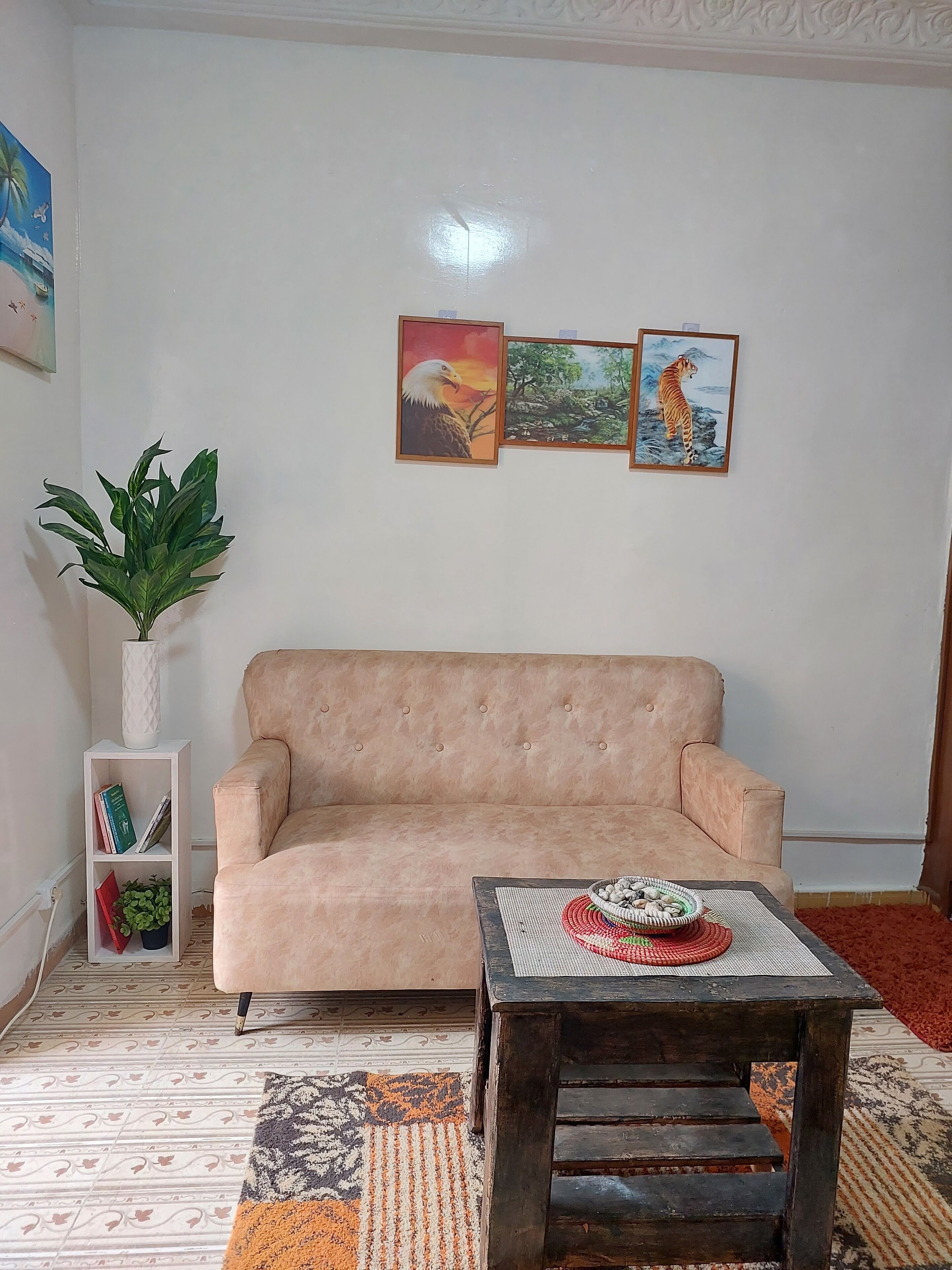 TV connectée, cheminée, livres, chaîne hi-fi