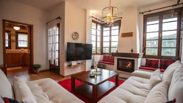 Télévision, cheminée, espaces bureaux