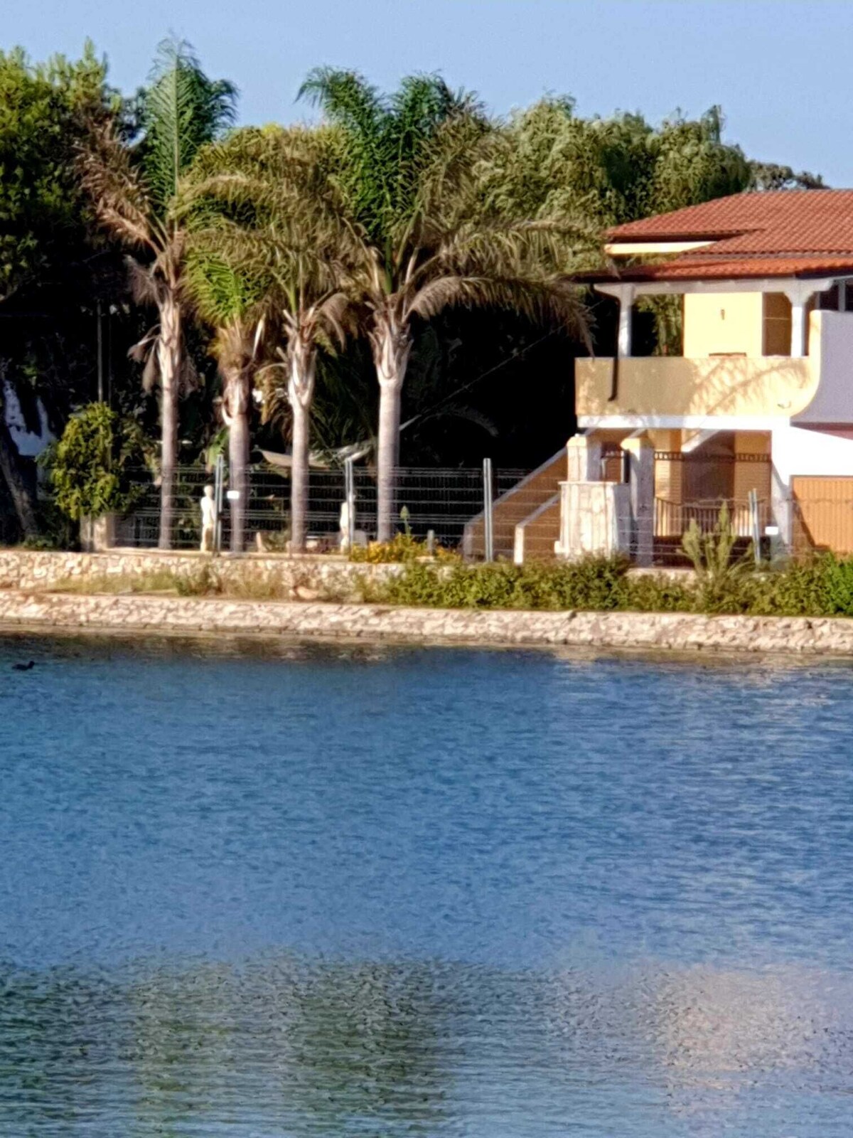 オーナーのプロフィール画像