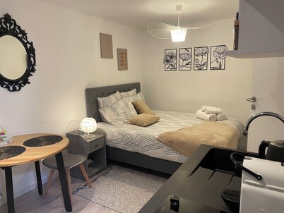 Le Patcho cosy and comfortable studio Centre de Strasbourg