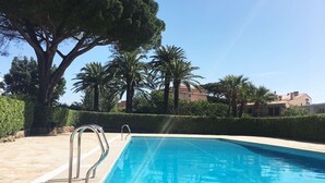 Ein Schwimmbecken mit Metallleiter, umgeben von Palmen und einer Hecke, mit Gebäuden im Hintergrund.