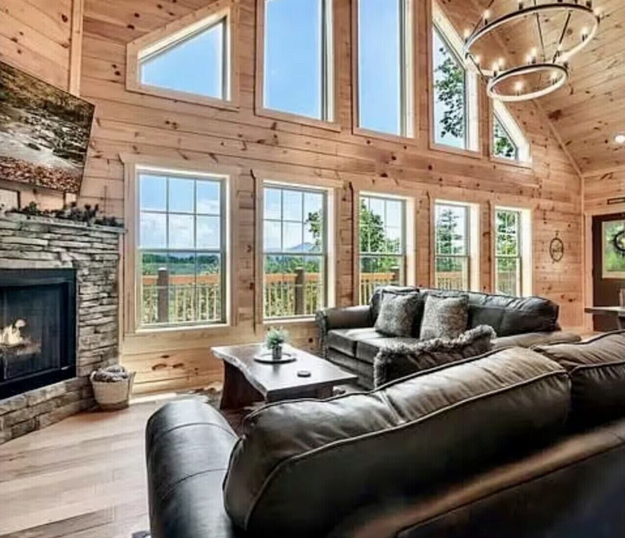 TV, fireplace, books