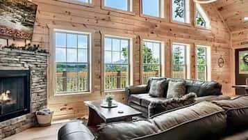 TV, fireplace, books