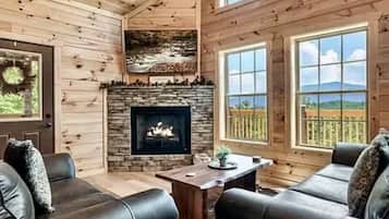 TV, fireplace, books