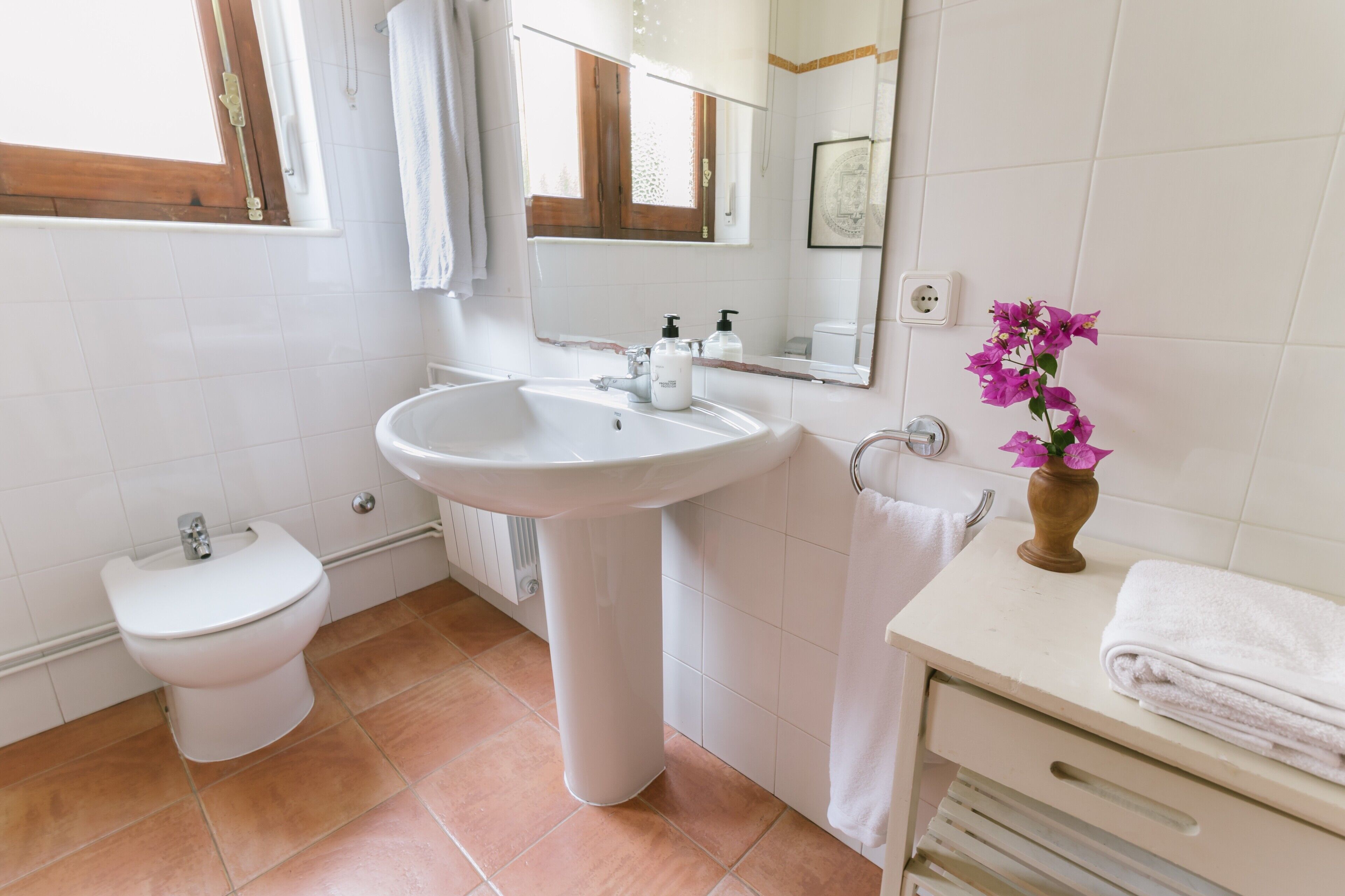 Ducha, secador de pelo y toallas