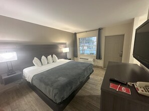 Standard Room, 1 King Bed, Non Smoking | Free WiFi - Econo Lodge St. Petersburg Central (St. Petersburg)