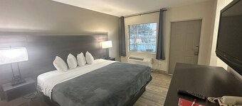 Econo Lodge St. Petersburg Central