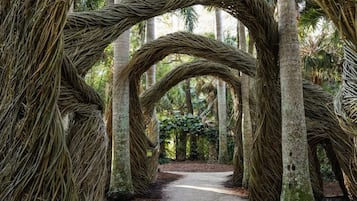 House (3 Bedrooms) | Exterior