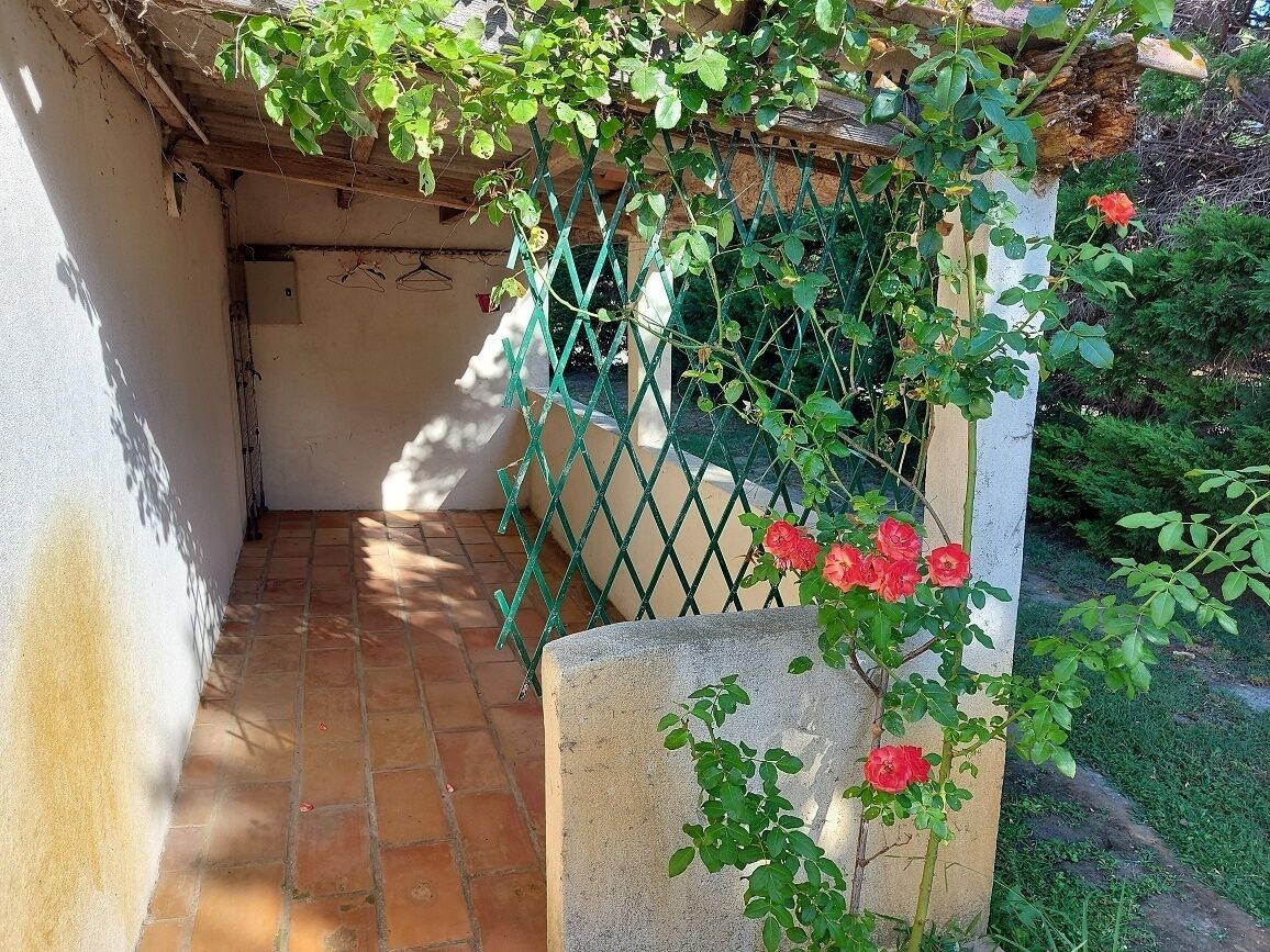 Un espace jardin avec un sol en briques, une clôture en métal vert et un bac à fleurs en béton orné de fleurs rouges.