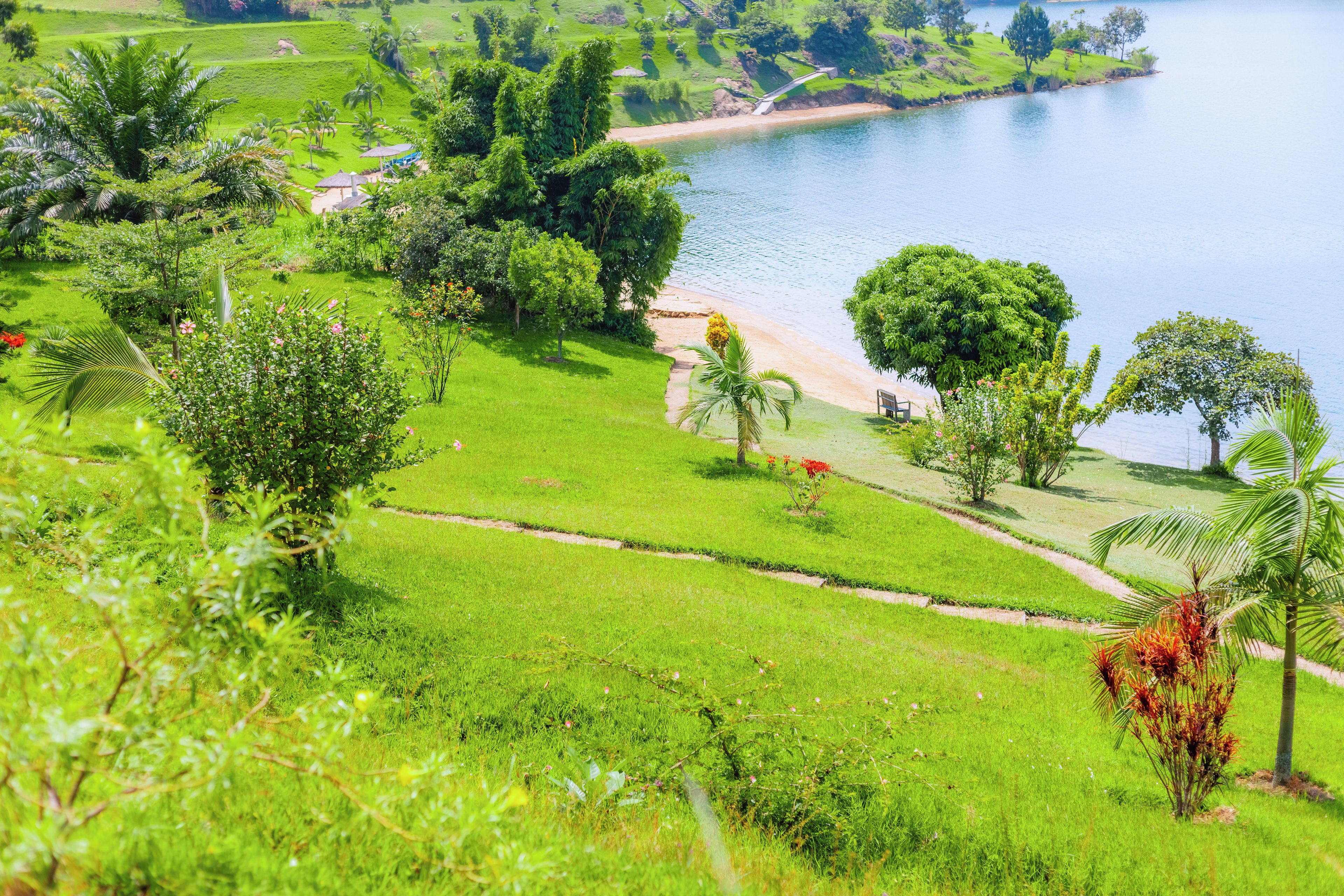 Paisagem verde exuberante com uma praia e uma pequena ponte.