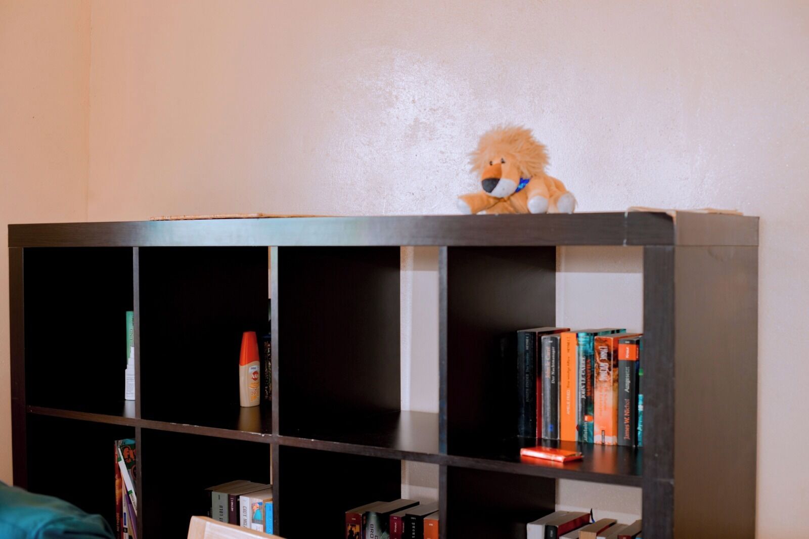 Una estantería con libros y un oso de peluche encima.