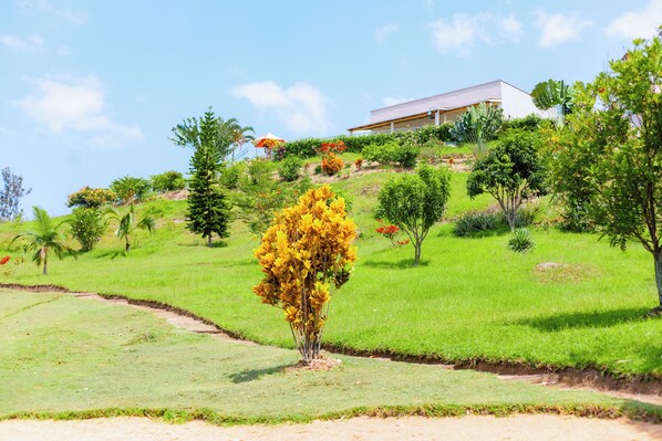 A hillside with a building, lush greenery, and a prominent yellow flowering tree. - Mariebu Beach Apartment  (Boneza)