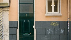 Una porta verde con il numero 14, una finestra con cornice bianca e un muro con graffiti.