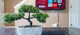 Hope s Place in Clarksville