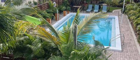 Zona de piscina con sillas de descanso, palmeras y vista al mar.