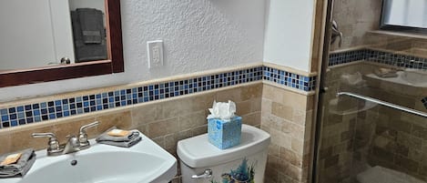 Douche, sèche-cheveux, serviettes fournies, papier toilette