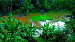 A lush green landscape with a water body and a small structure. - Ella Mountain Breeze Villa: Your Cozy Escape in a Deluxe Double Room (Ella)