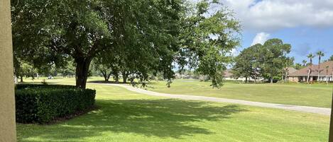 A well-maintained grassy area with a large tree and a clear sky.