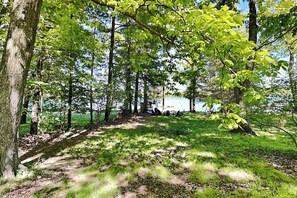 A forested area with a path leading to a building. - Bear on the Lake (Oakland)