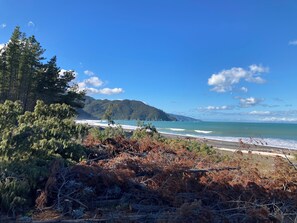 Beach - Soothing 1-bedroom cottage in charming Marlborough (Tuamarina)