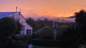 Ein Garten mit Vogeltränke, geschnittenen Büschen und einem Haus mit geneigtem Dach.