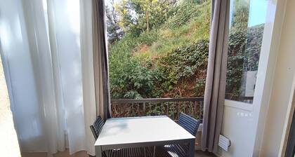 LARGE STUDIO - CLOSED LOGGIA - SHOWER - AIR CONDITIONING - BED 160 - RENOVATED