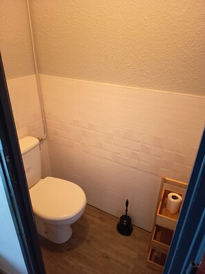 Shower, hair dryer, soap, toilet paper - LARGE STUDIO - CLOSED LOGGIA - SHOWER - AIR CONDITIONING - BED 160 - RENOVATED (AMELIE LES BAINS)