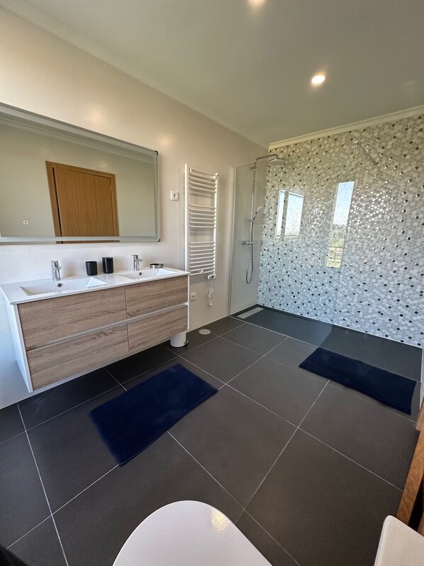 Shower, hair dryer, towels