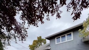 Ein Wohnhaus mit grauer Fassade, einer lila Tür mit der Aufschrift "Eingang" und einer Auffahrt. Ein Schild auf der Auffahrt weist darauf hin: "Nicht parken oder blockieren."