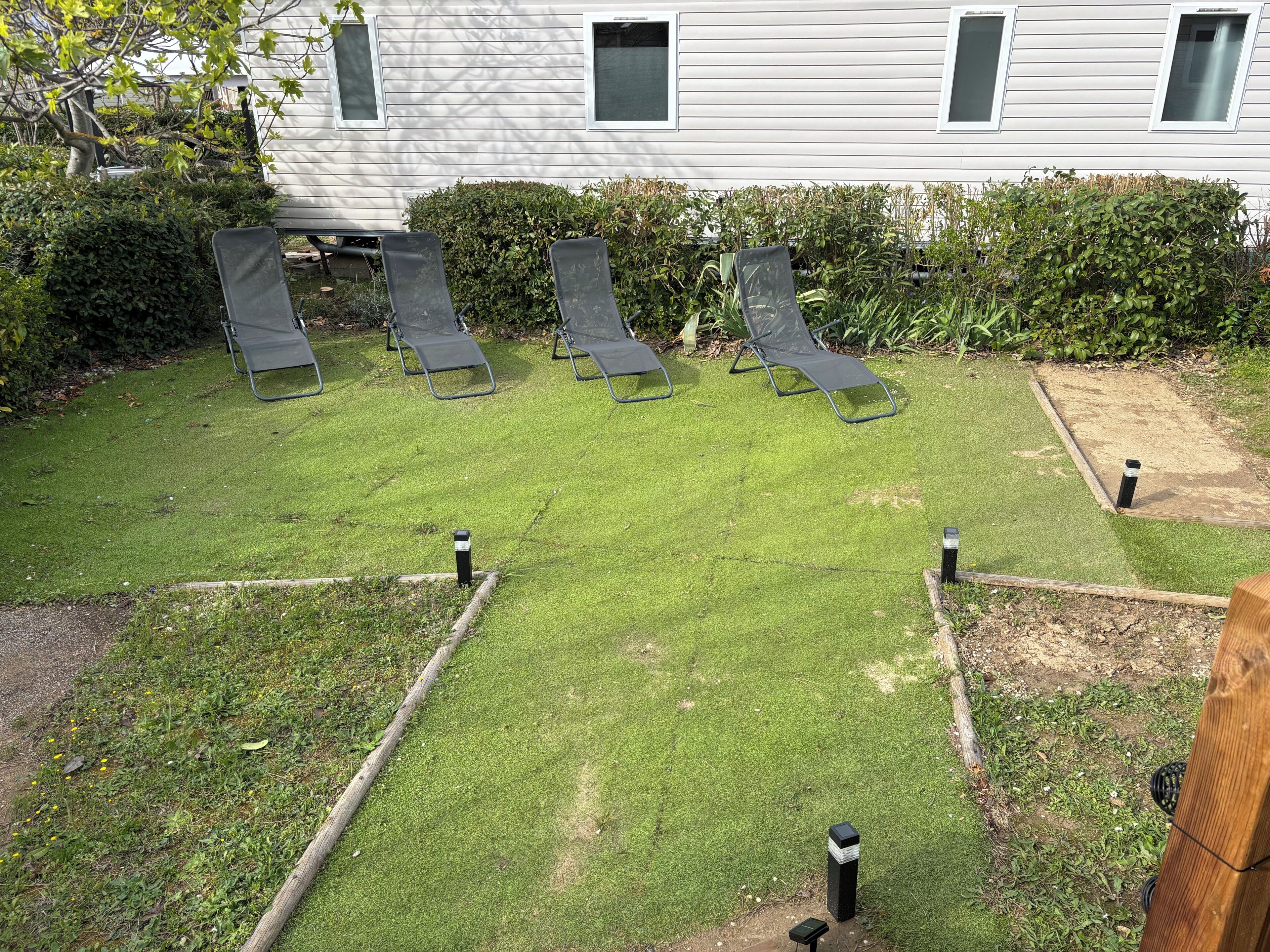 A backyard with a lawn, four lounge chairs, and a wooden fence.