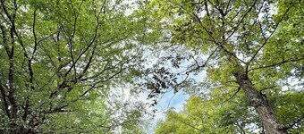 Marvelous 3-bedroom chalet in charming Wilmington