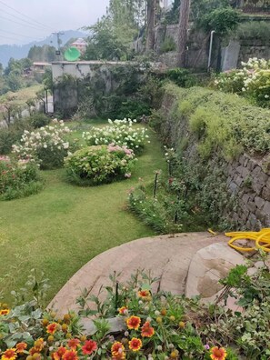 Exterior - Blue Mountain Cottage (Patriata)