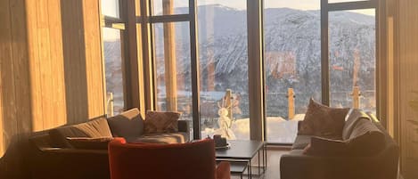 Smart TV, books, computer monitors