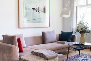 TV connectée, cheminée, livres