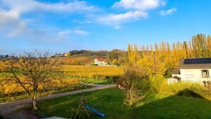 Un paysage rural avec un vignoble, une maison blanche au toit rouge et un sentier qui traverse la verdure.