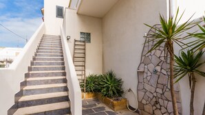 Un escalier menant à une porte, entouré de plantes en pot et d’un mur de pierre.