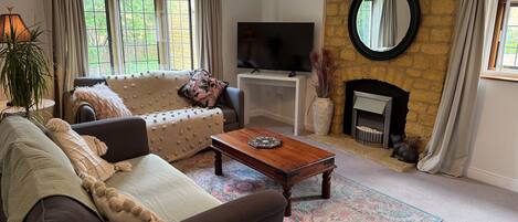 Smart TV, chimenea, libros y monitor de computadora