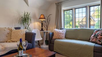 Smart TV, fireplace, books, computer monitors