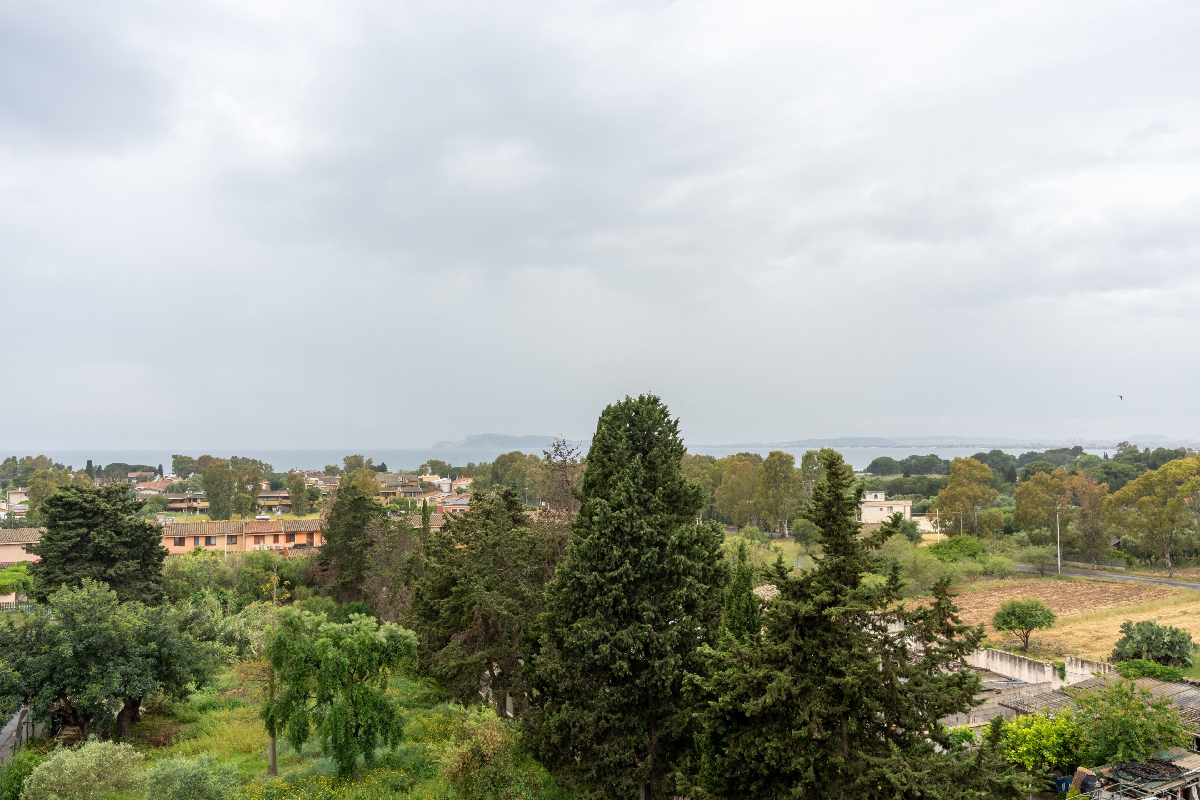 Un quartier résidentiel avec des maisons, des arbres et une vue lointaine sur une étendue d’eau.