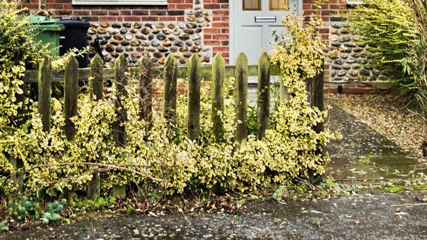 Utvendig detalj