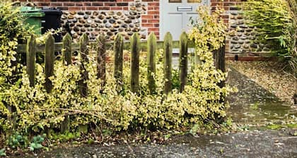 The Norfolk Countryside Retreat