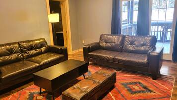 TV connectée, cheminée, chaîne hi-fi