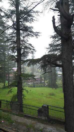Property grounds - Hils & Paw (Manali)